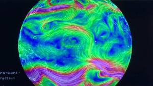 13579964_1301482693213632_429867111_o