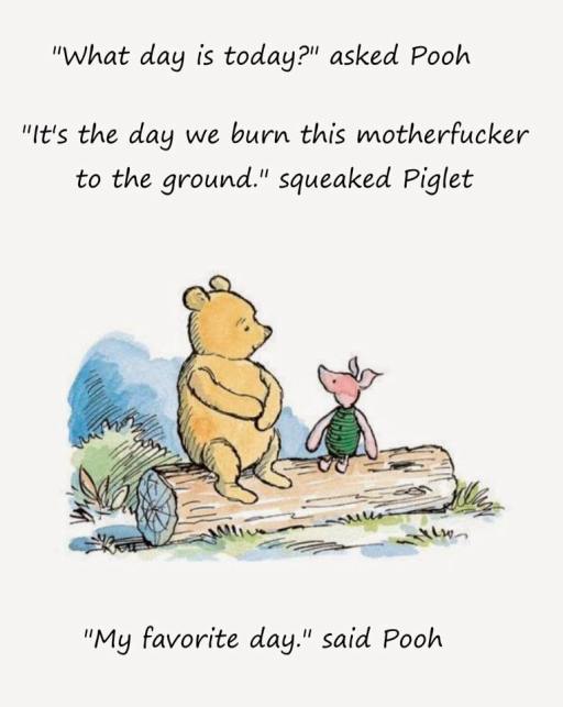 pooh burns it down