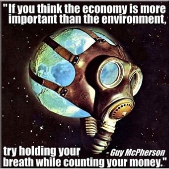 economy vs environment